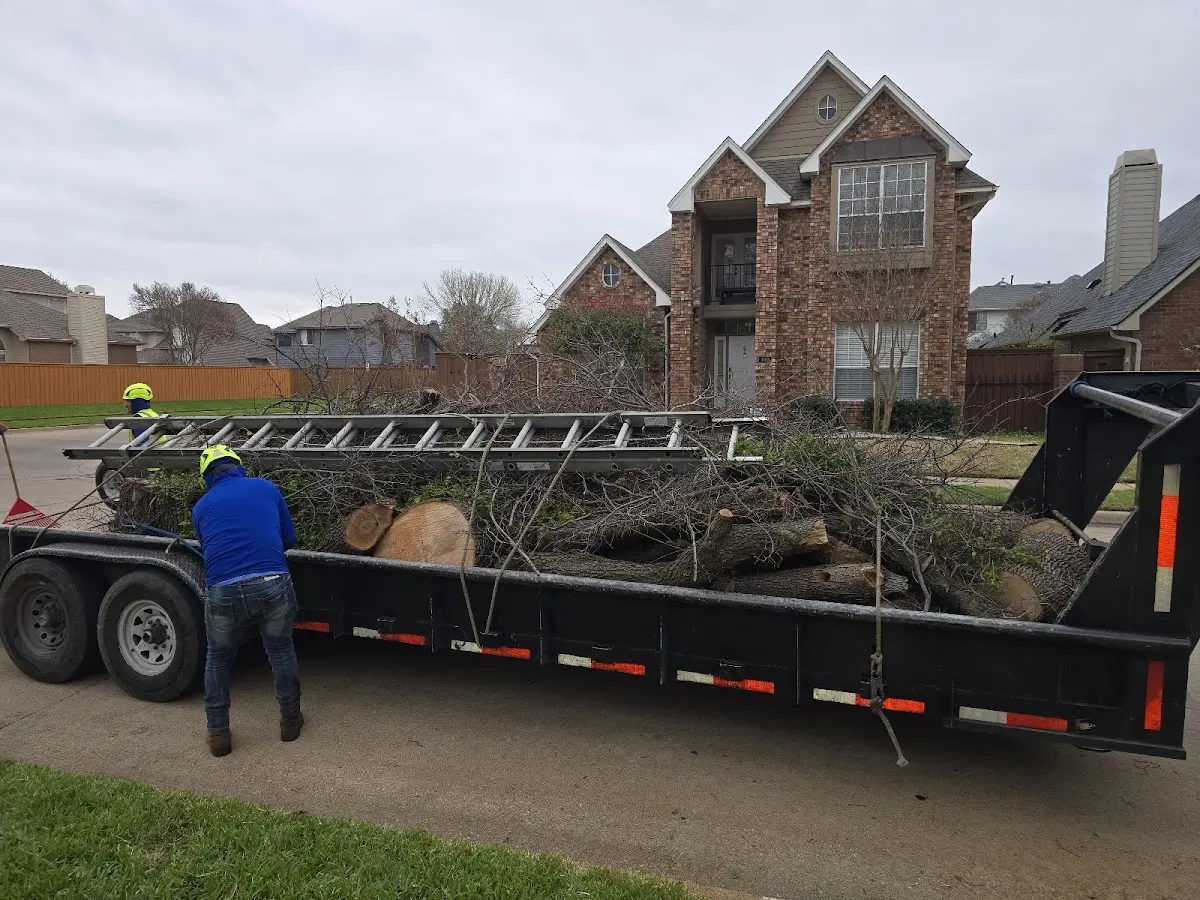 Expert Crown Reduction with proper safety equipment in North Creek